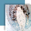 Evaluation de l�efficacit� de shampooings ou de topiques capillaires