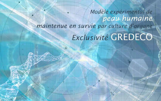 peau humaine