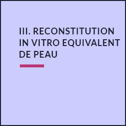 Reconstitution in vitro d'équivalents de peau 