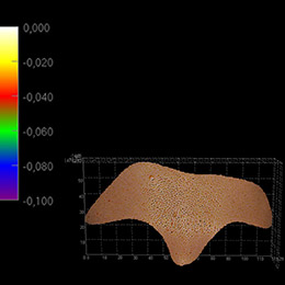 Visualisation des pores en 3D 