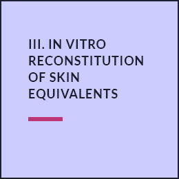 Reconstitution in vitro d'équivalents de peau 