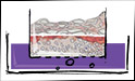 conditions in vivo, viabilité cellulaire